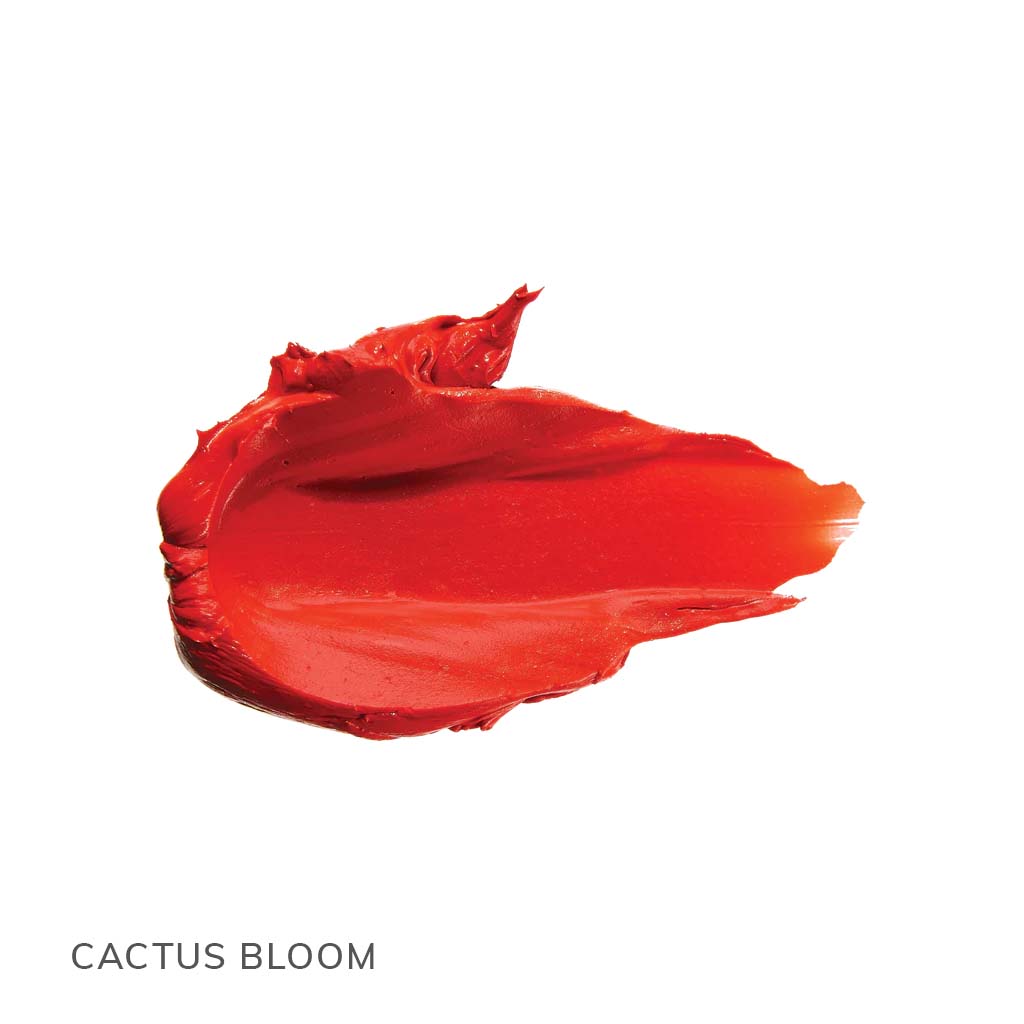 CactusBloom2.jpg