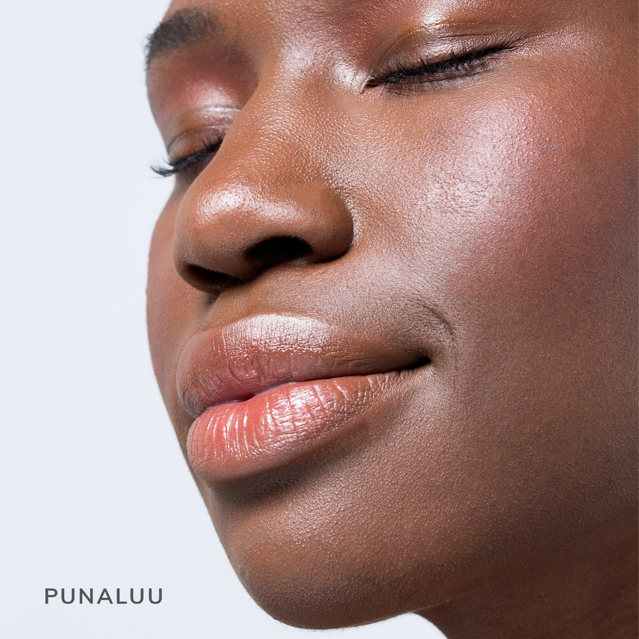 pdp_punaluu_model.jpg
